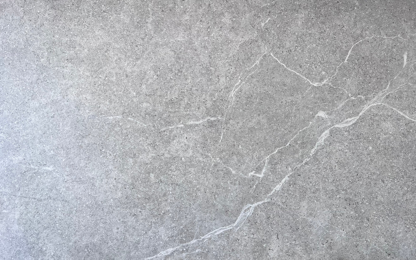 610x1220 HOLYSTONE GREY RECT