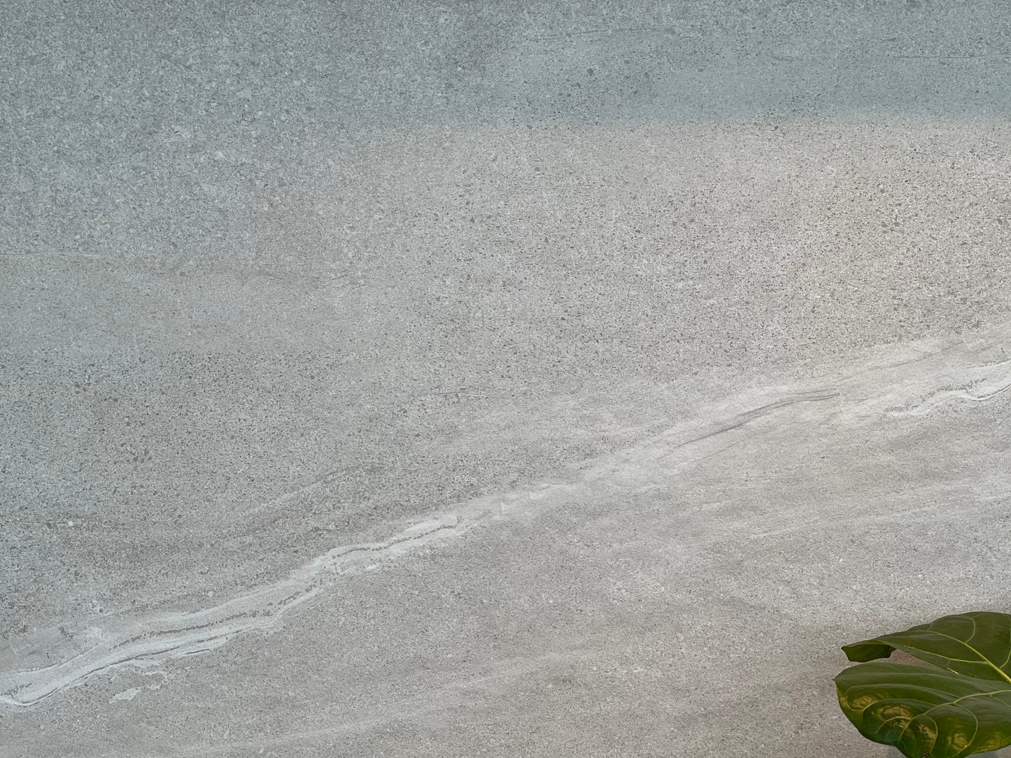 600X1200 TARDIVO BIANCO PEARL