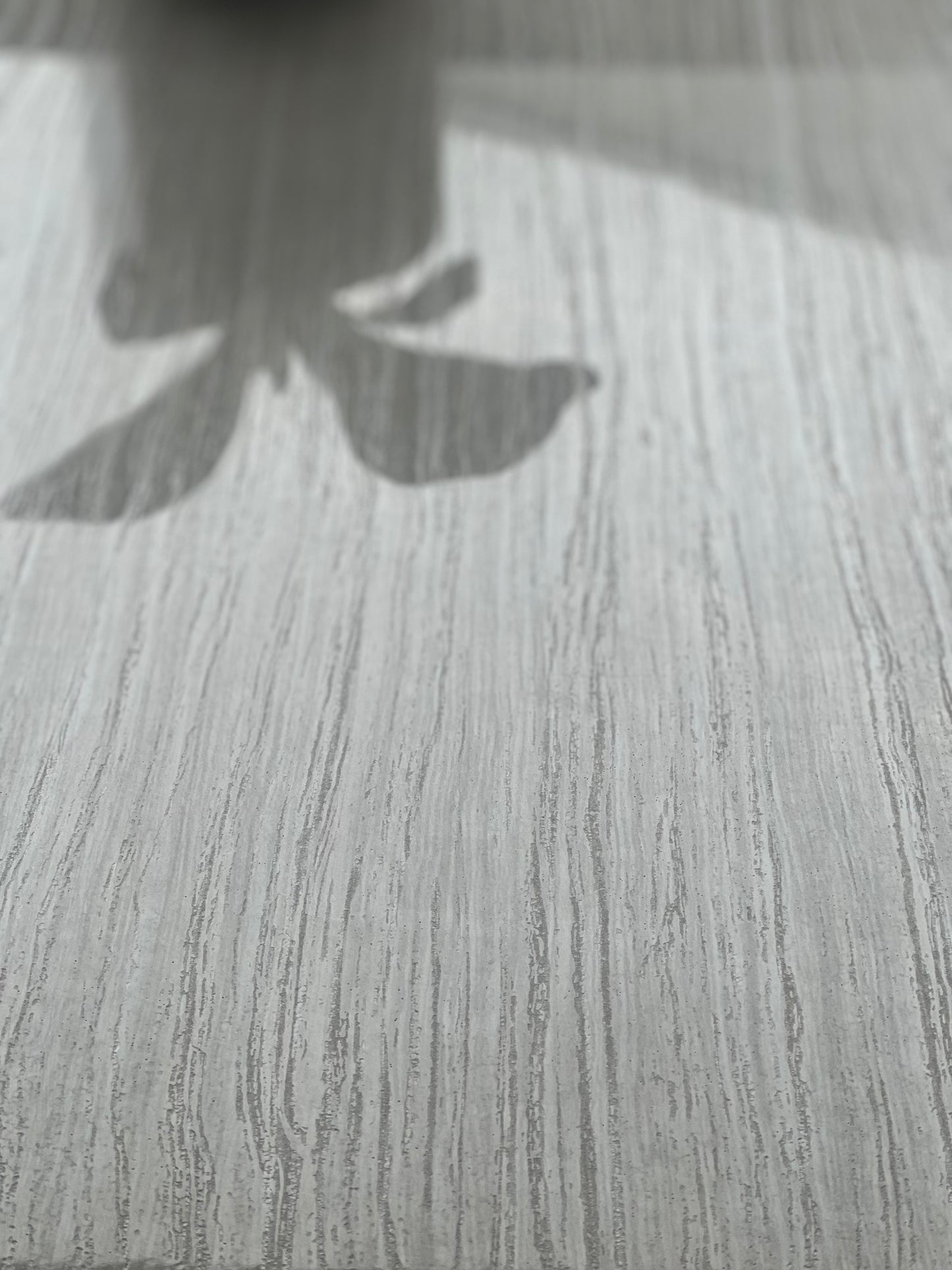 500x1000 AVENUE IVORY  LAPP