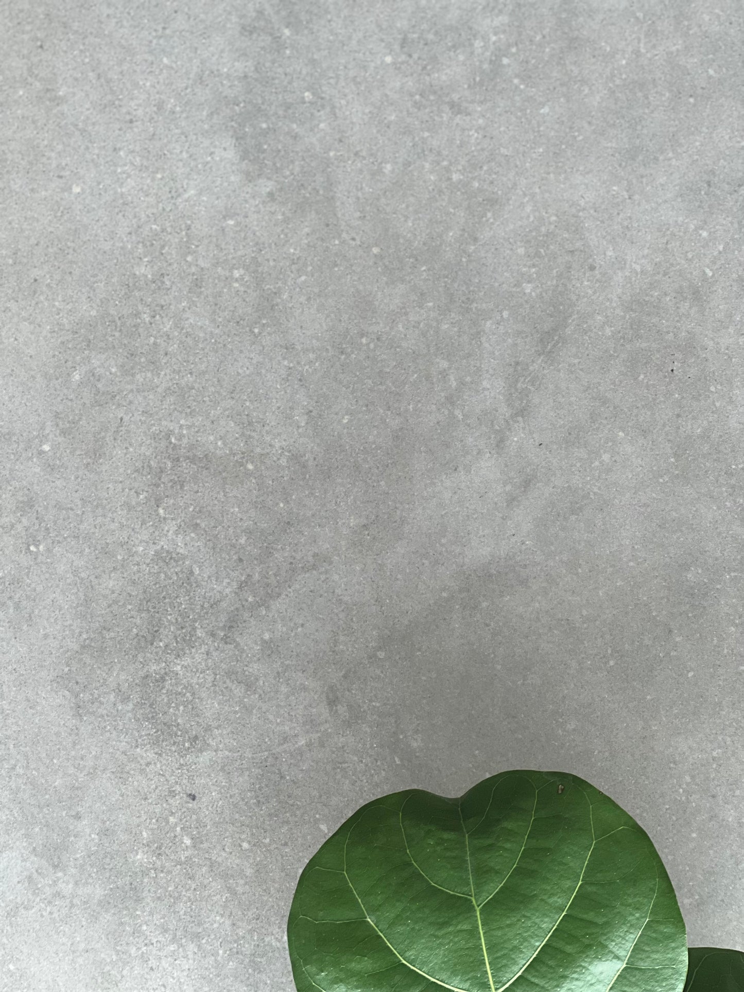 450x900 DWELL GRAY LAP