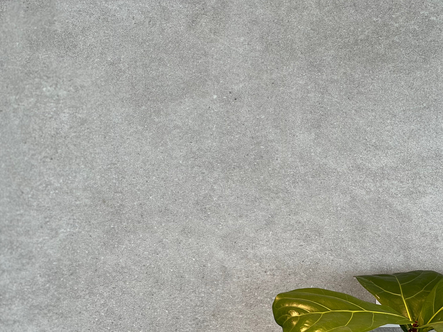 600X1200 QSTONE DR12630N BIANCO MATT