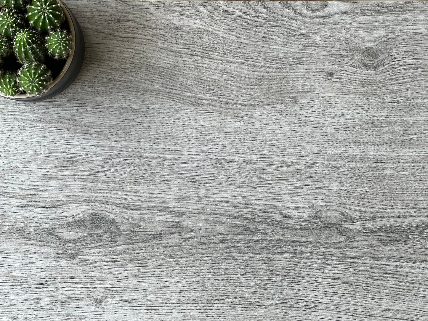 300X600 JP2LME LEGNO CENIZA MATT