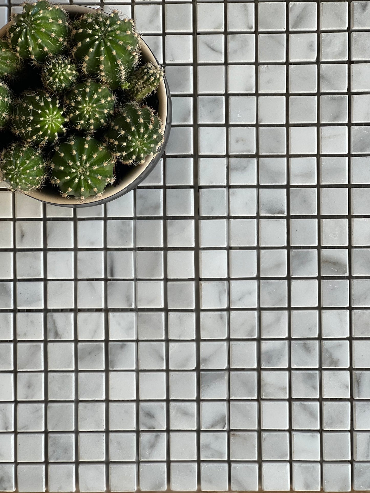 296X296 BIANCO CARRARA POLISH