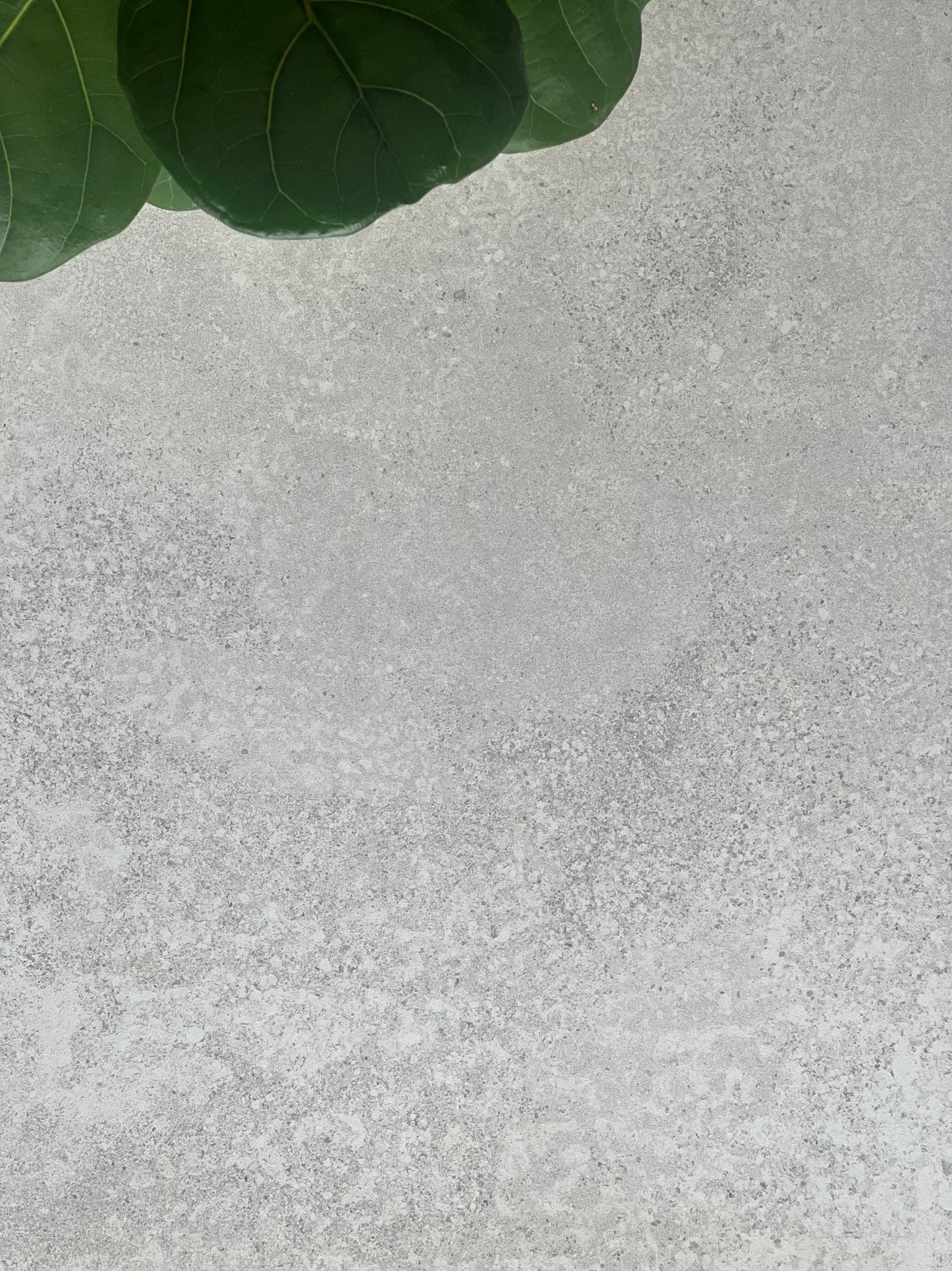 600X600 STFQ6002 QUARTZ GREY *