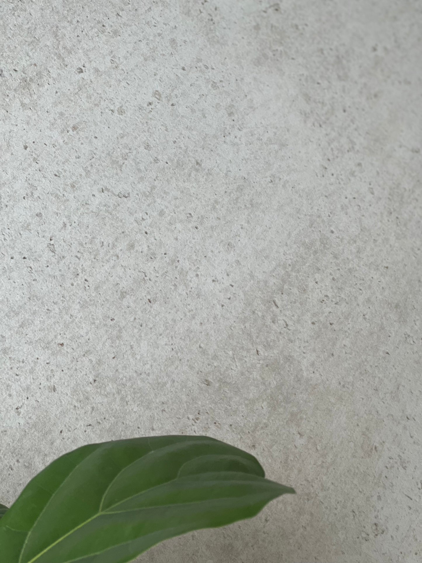 600X1200 D'NEWPORT GREY RECTIFIED