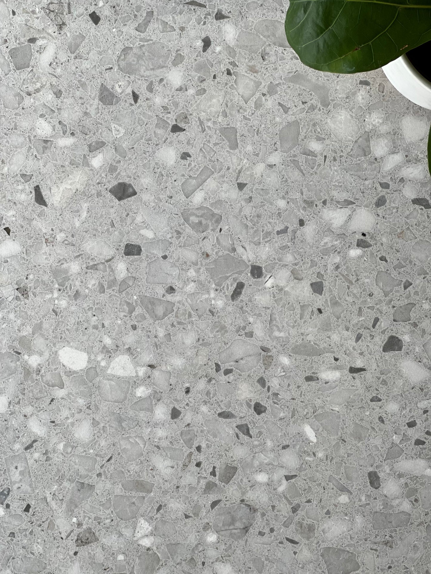 600x600 GLITTER MOCA SKCO2424MF