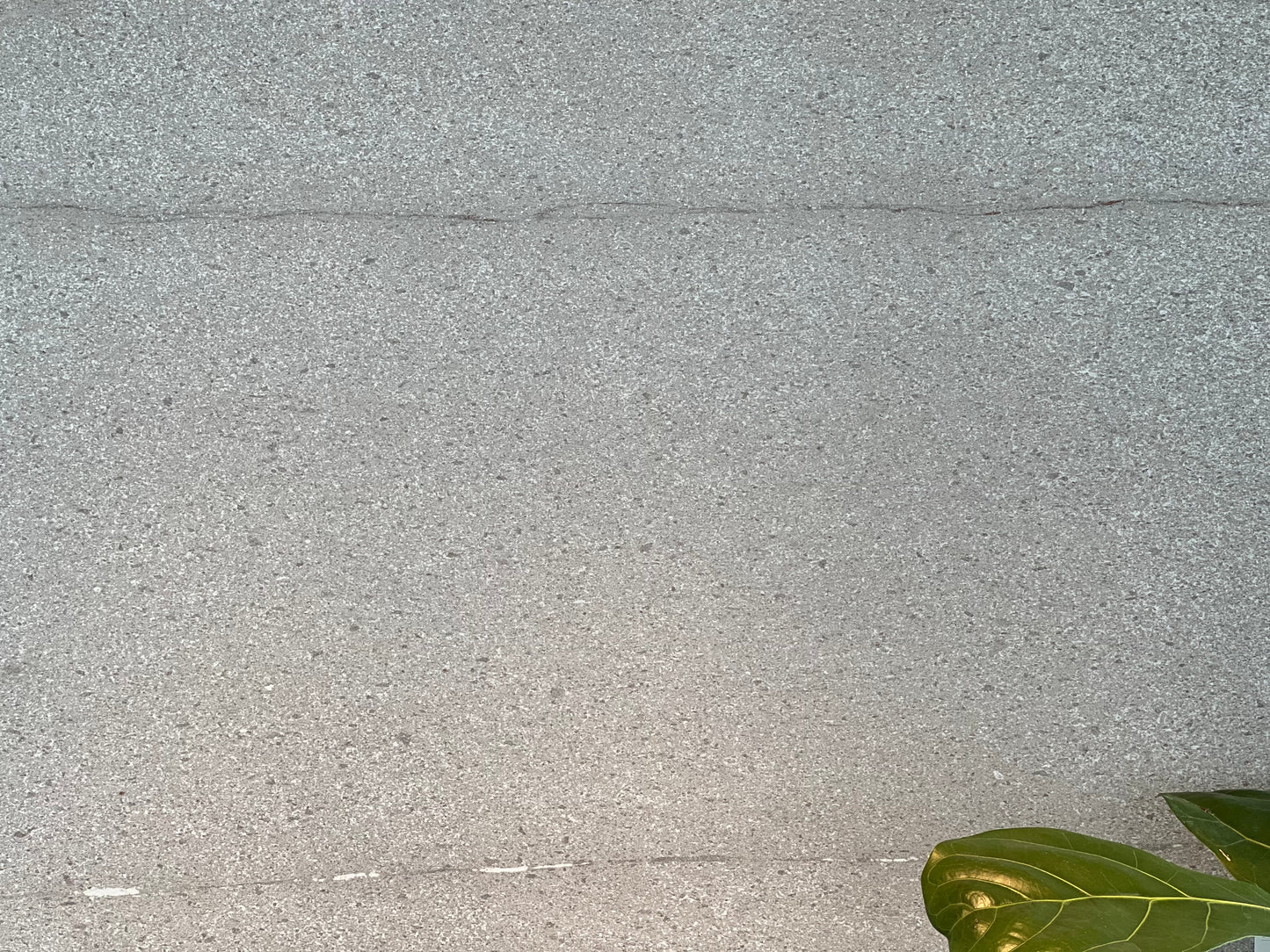 600x1200 BASALTO GRIGIO MATT