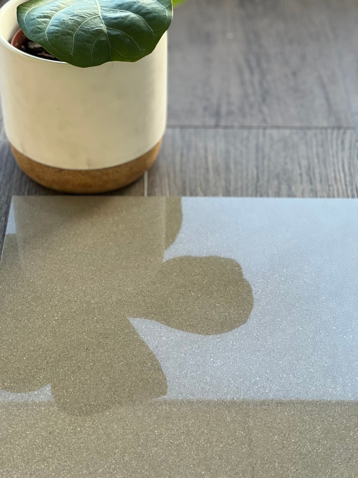 300x300 V3B005M MURSHROOM TC503