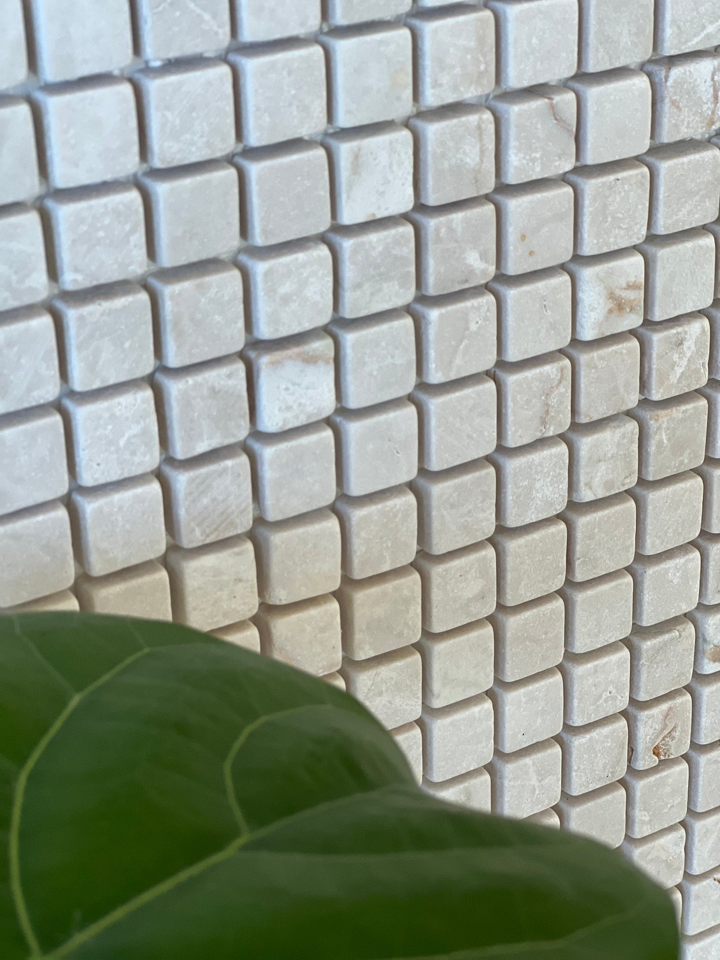 296X296 CREMA MARFIL TUMBLED