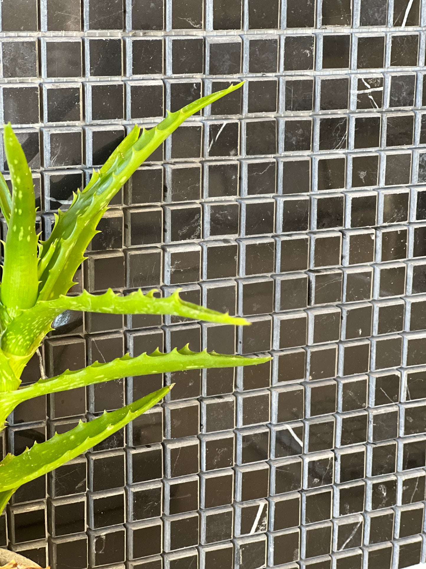 300X300X15MM MS1 NERO MARQ.MOS