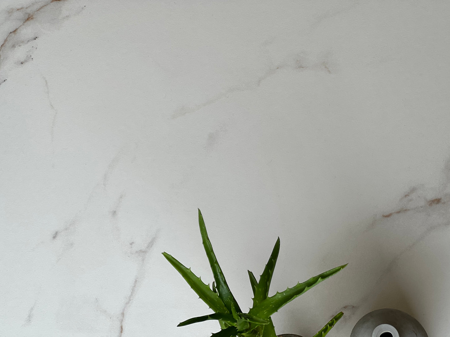 600x600 D'CERVINIA BIANCO RECT