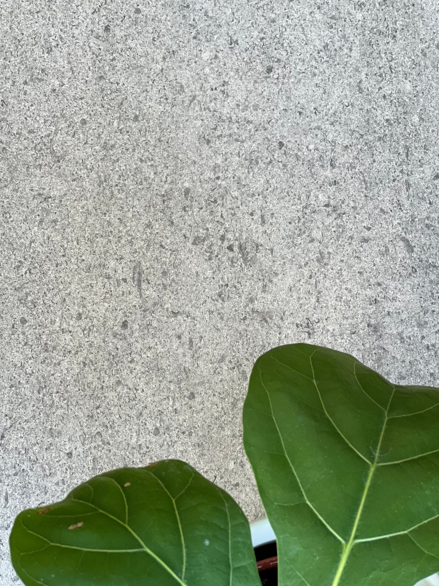 300x600 KL A36J24DE BURREN GREY