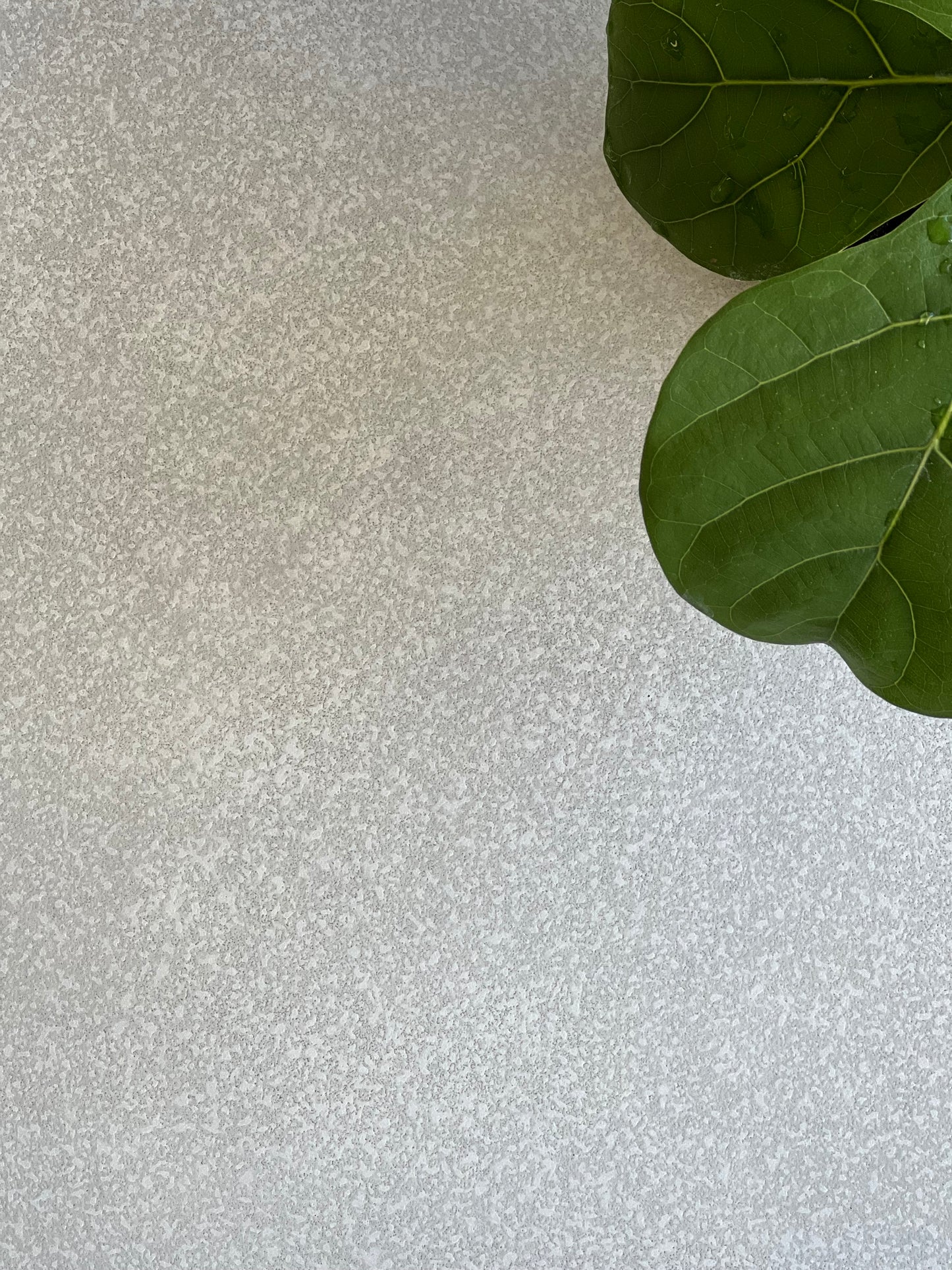 500X500 NEUTRA 50W LP