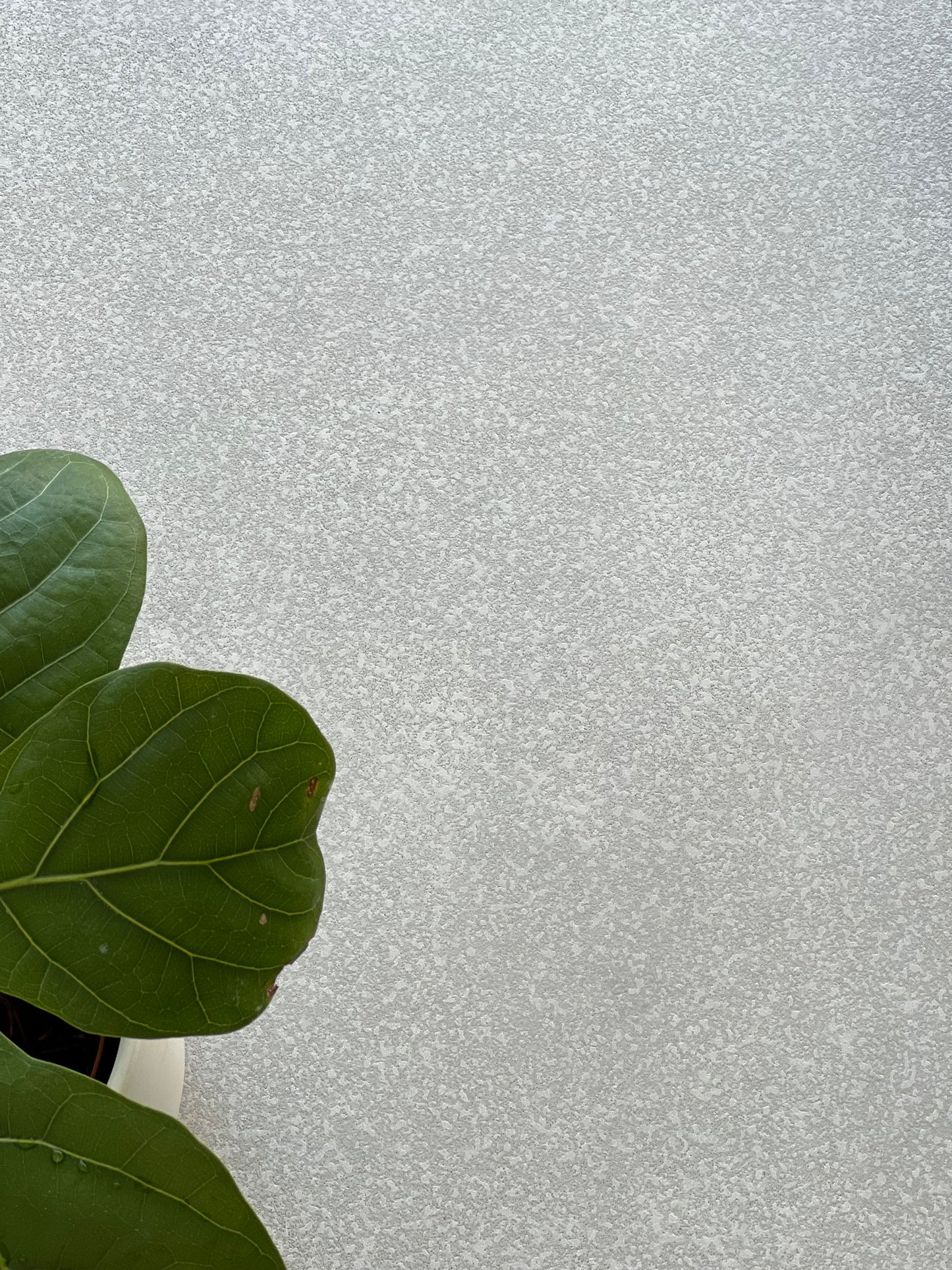 500X500 NEUTRA 50W LP