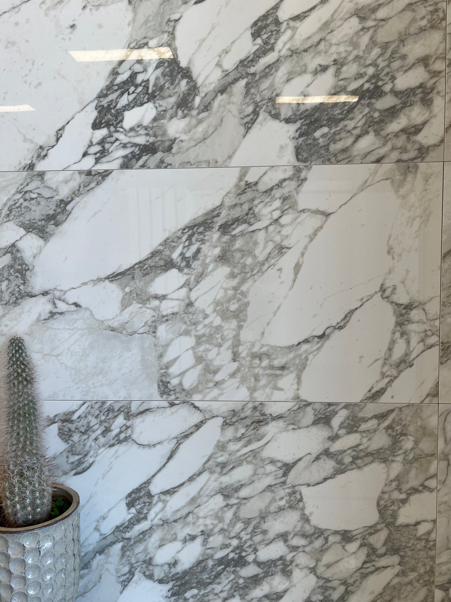 600x1200 ARIOSTEA ARABESCATO POL