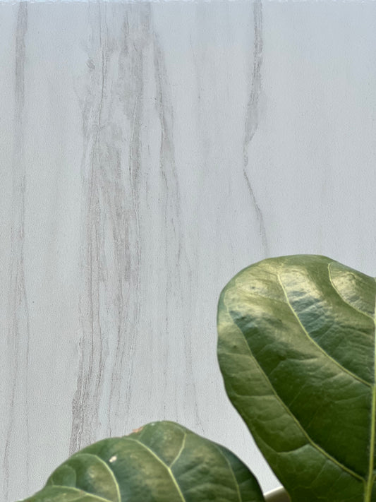 300x600 D'ICELAND WHITE RET