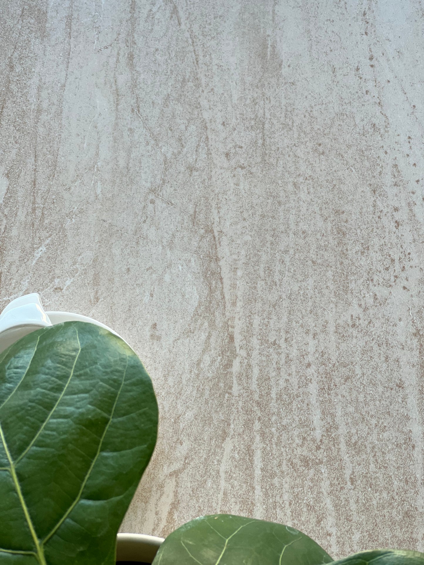 300x600 W63428R D'CATANIA SAND RET