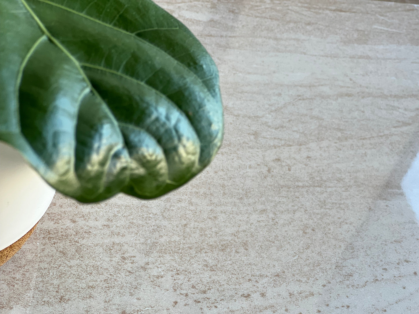 300x600 W63428R D'CATANIA SAND RET