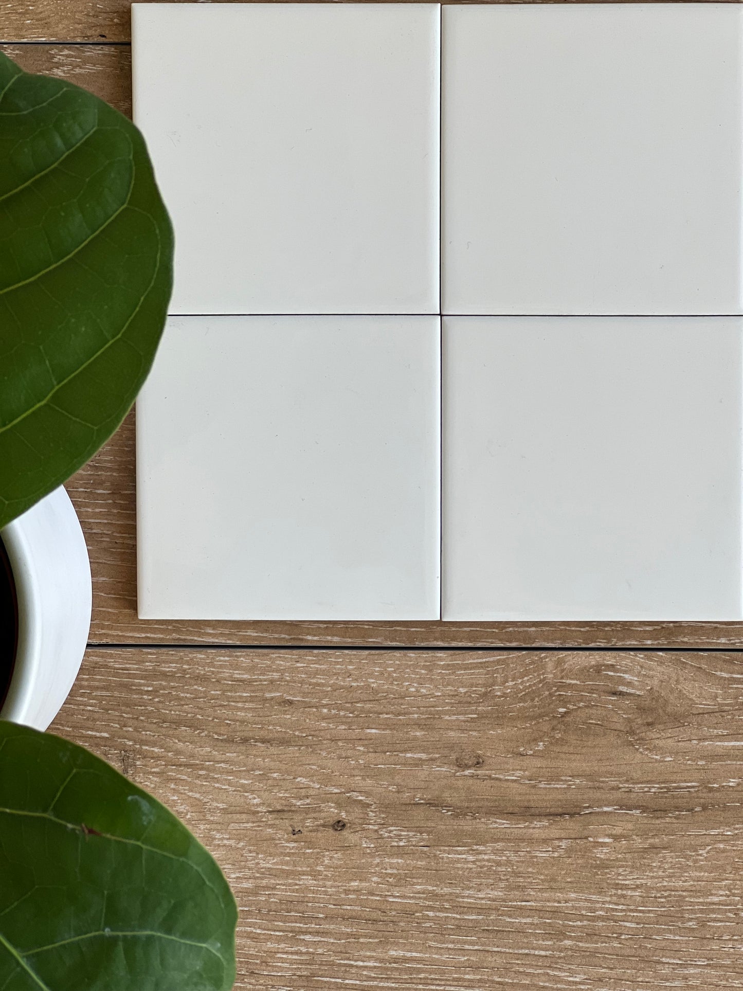 100X100 A10 IVORY GLOSSY