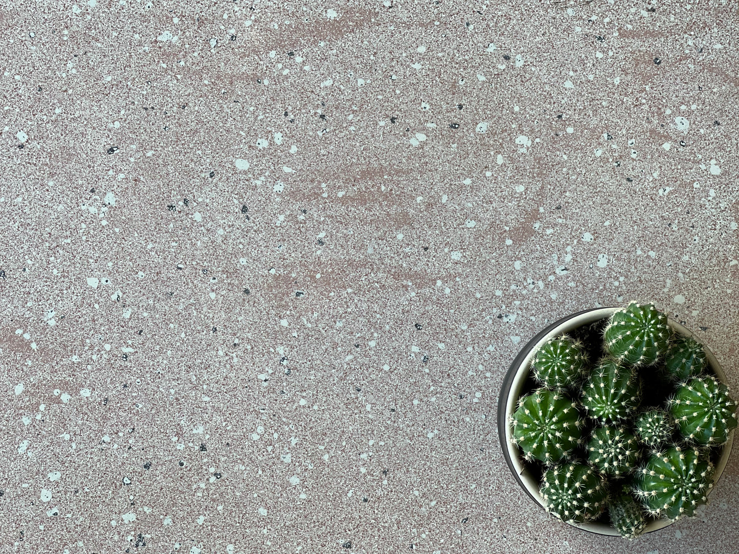 300X600 LEV2615 DARK ROSA POL.