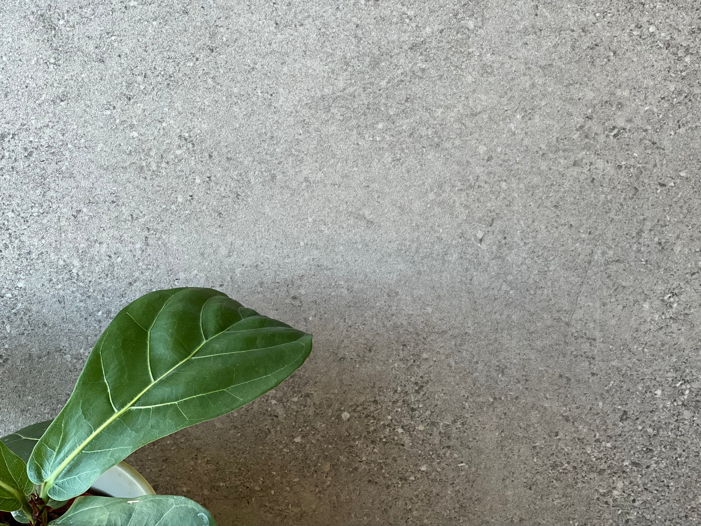 600X1200 FUSIONE GRIGIO