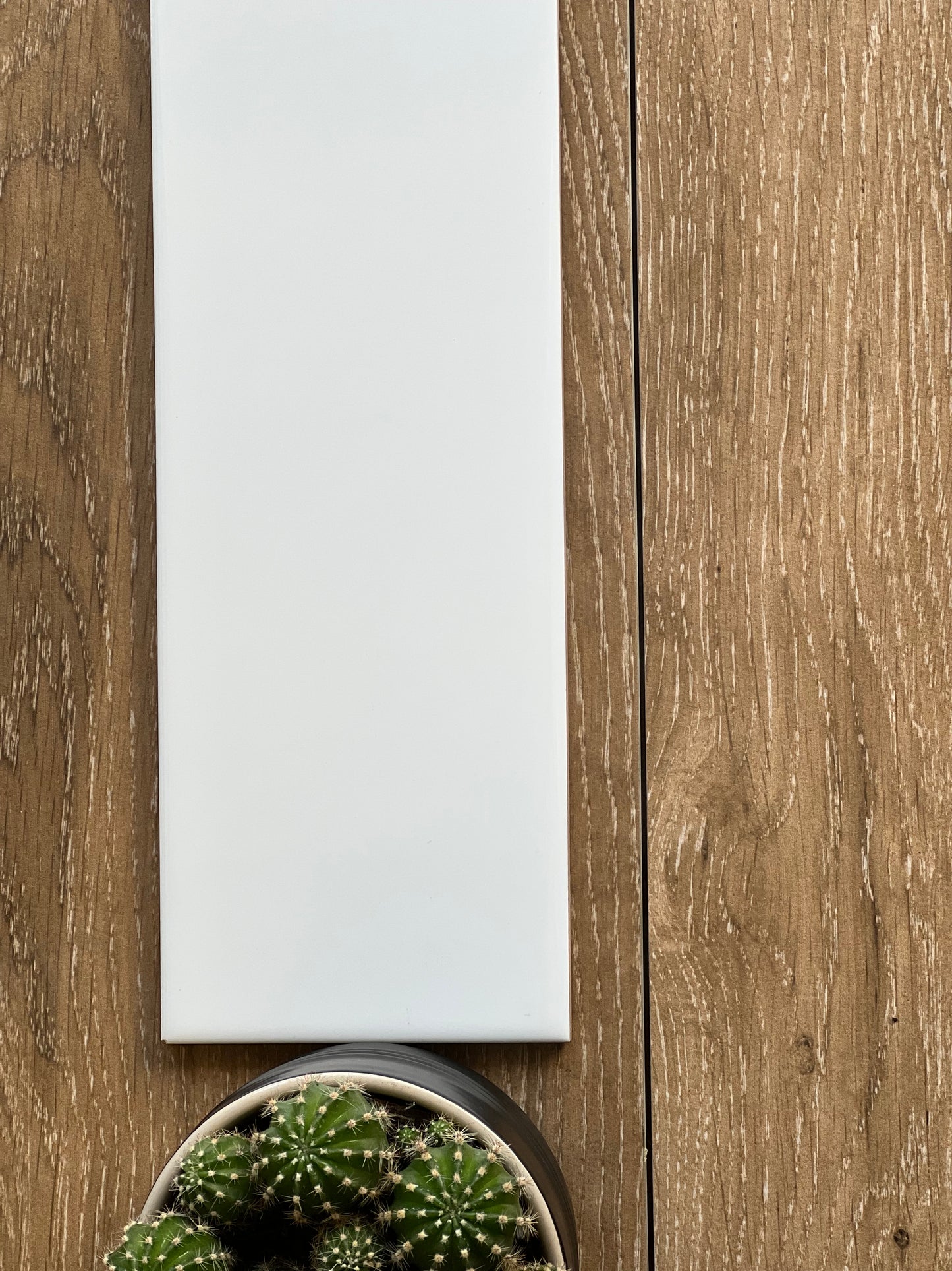 100X300  WHITE GLOSS MT13300W