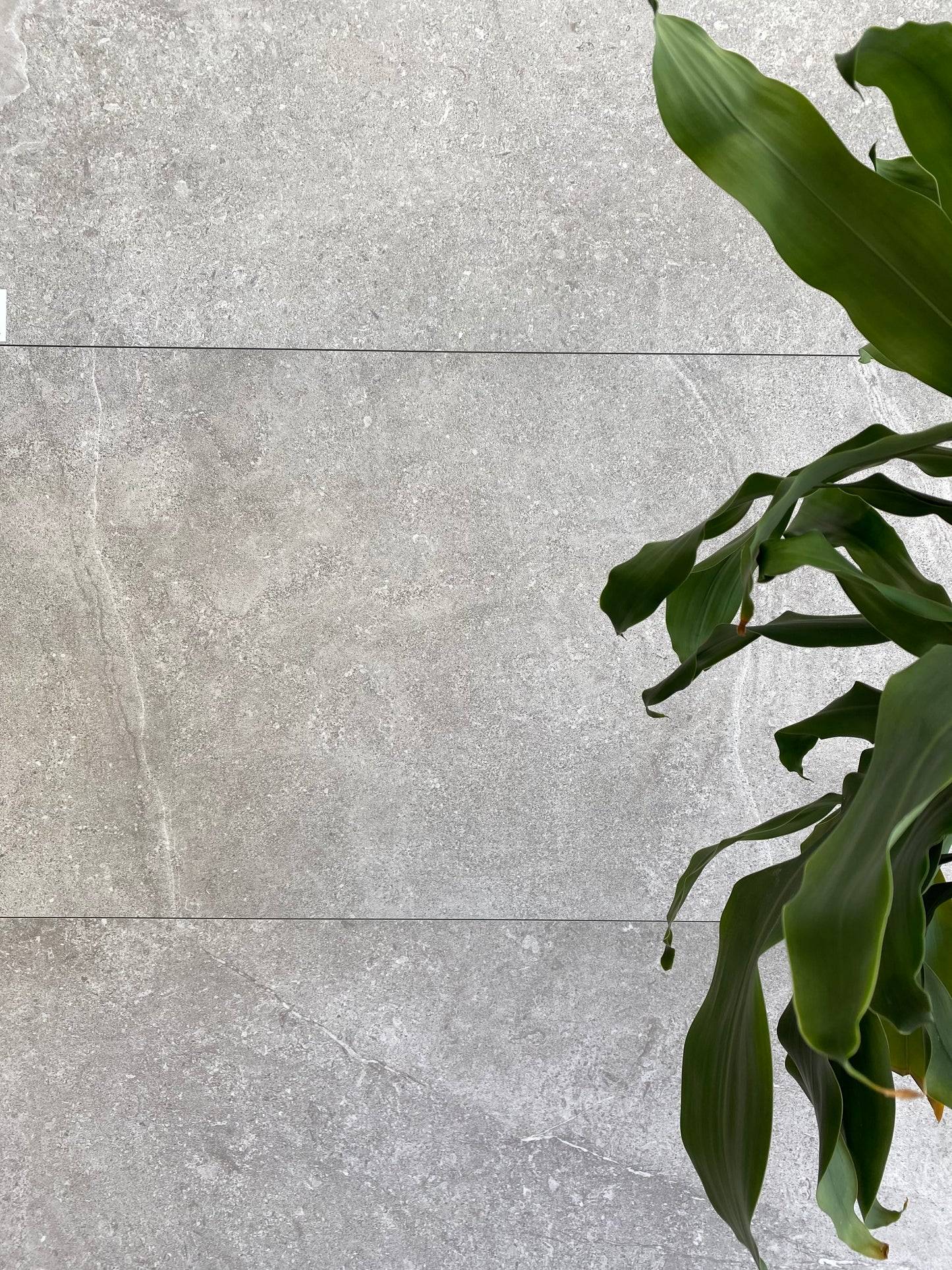 604x1210 TRUST GREY MATT