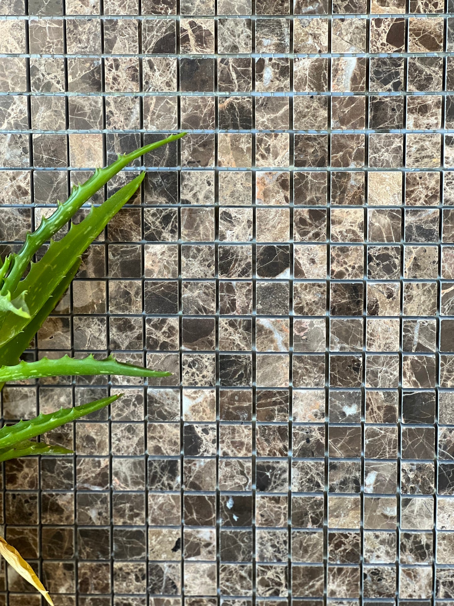 296X296 EMPERADOR DARK POLISH