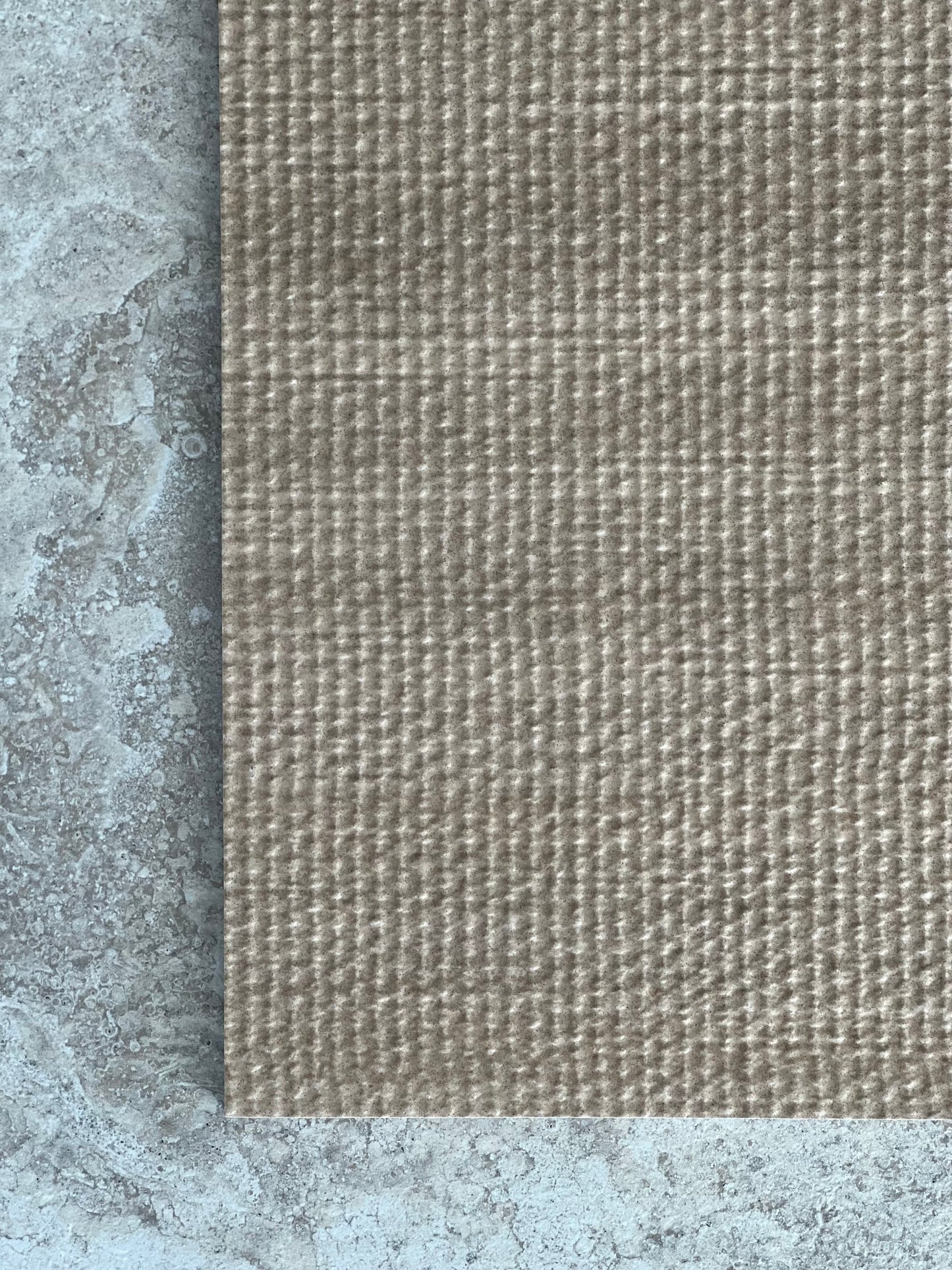 300X600 COCOS TORTORA