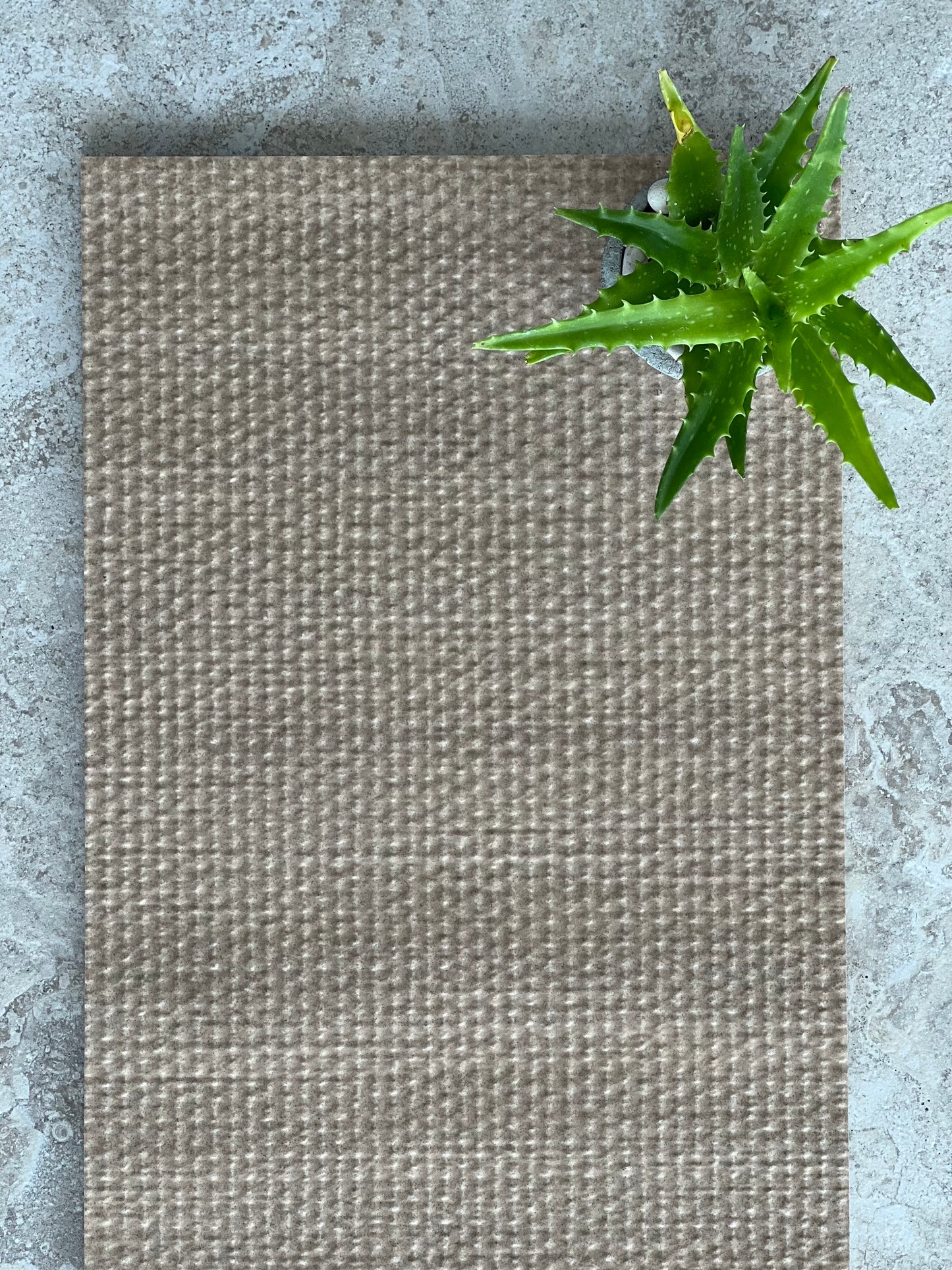 300X600 COCOS TORTORA