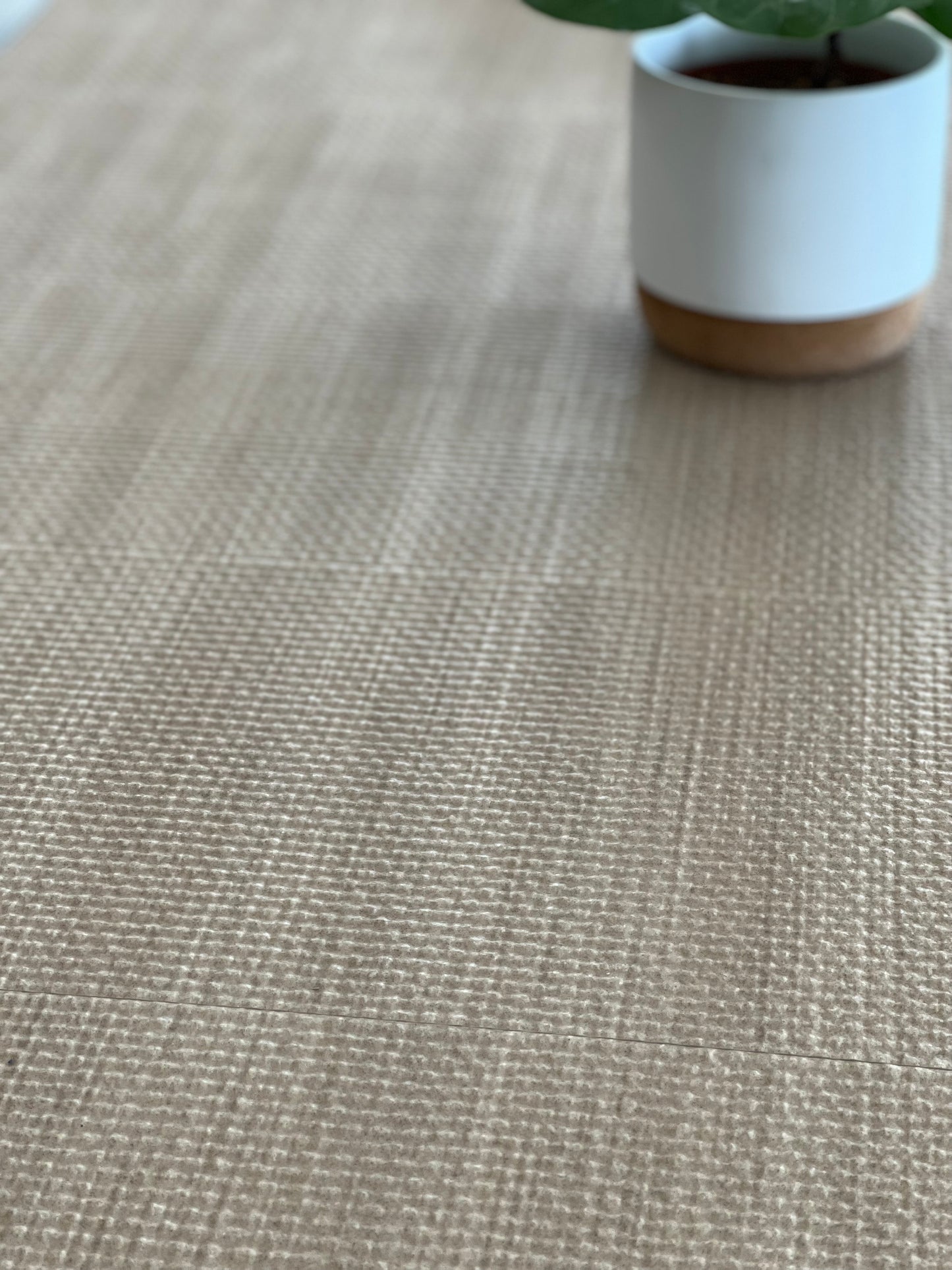 300X600 COCOS TORTORA