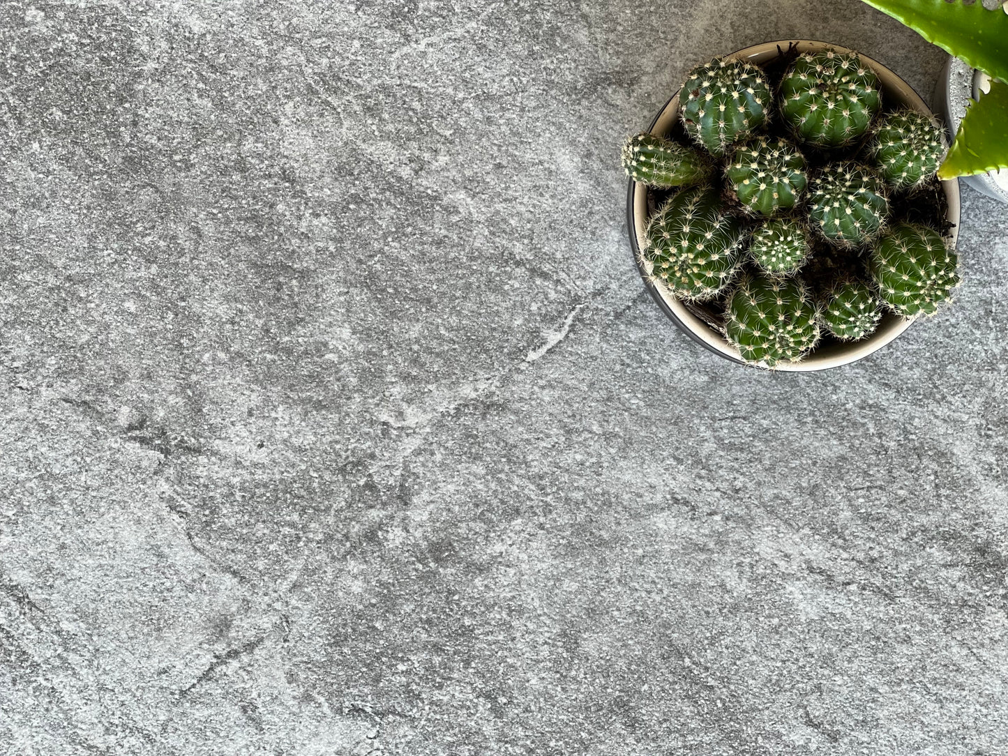 300X600 ALPS DA3673N DK GREY MATT