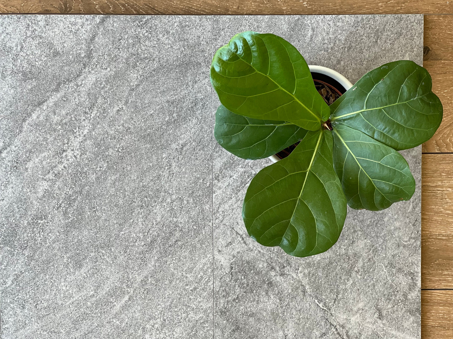 300X600 ALPS DA3673N DK GREY MATT