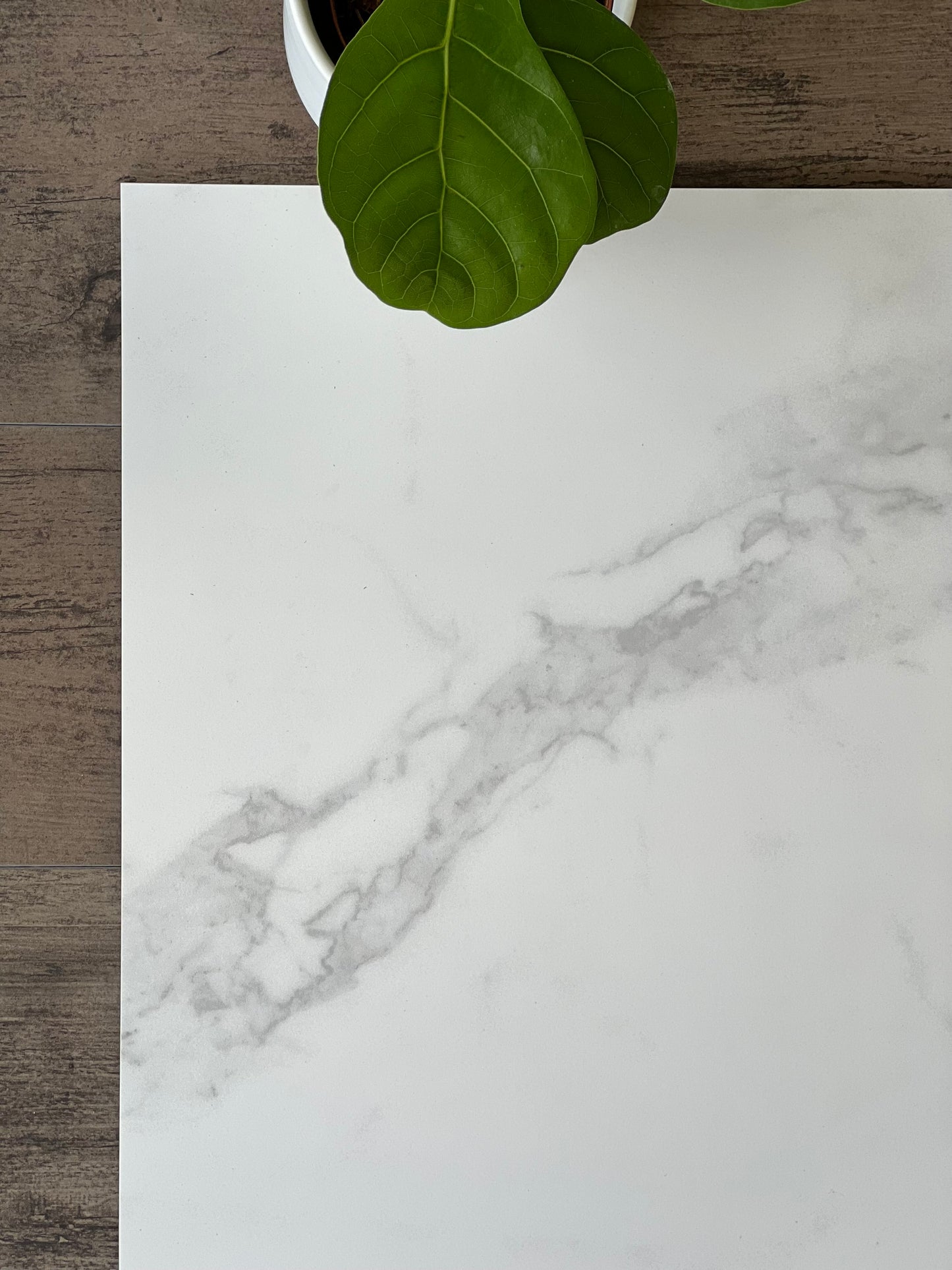 600X600 BARI T MATT FINISH