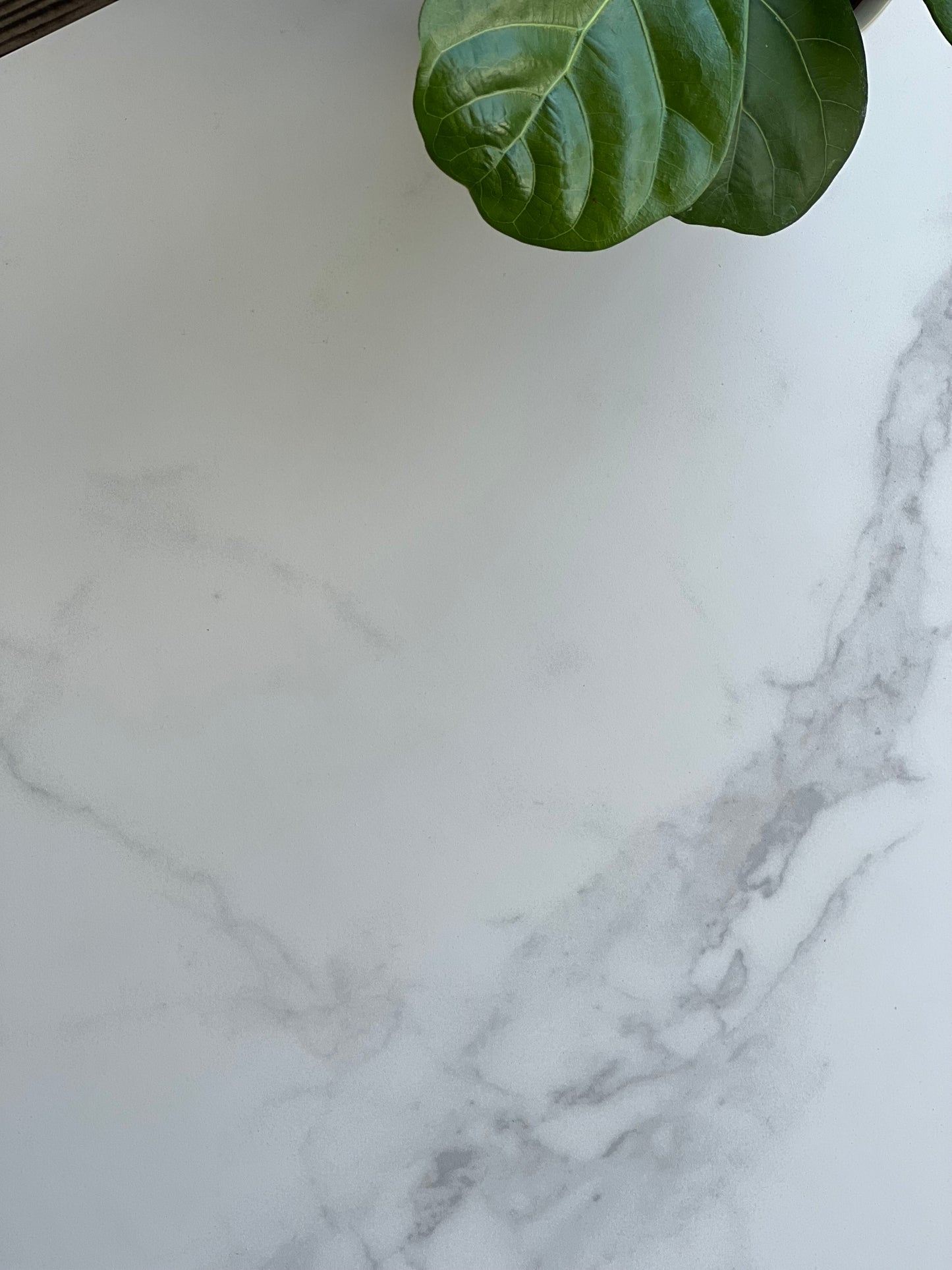 600X600 BARI T MATT FINISH