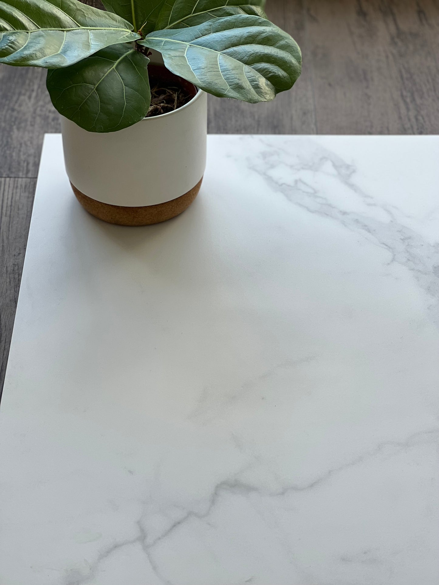 600X600 BARI T MATT FINISH