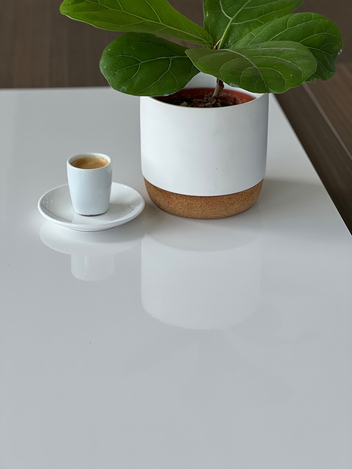 400X1200 TRIPOLI BLANCO GLOSS