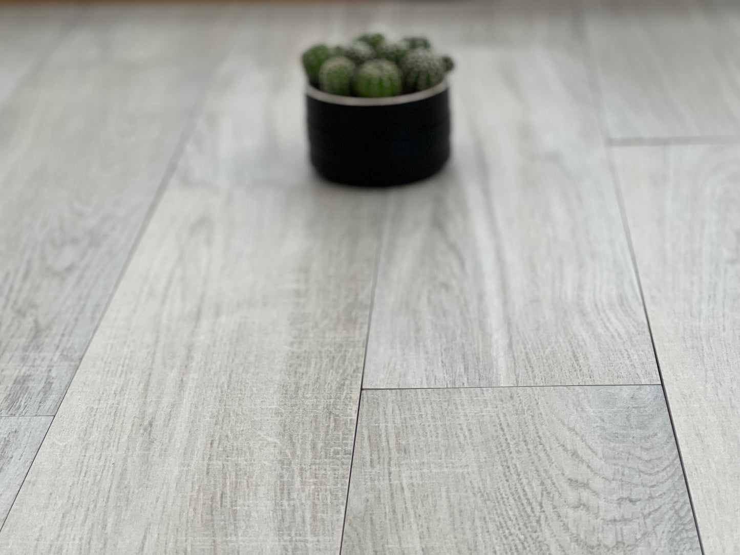 150X600 D'PALLOZA PINE