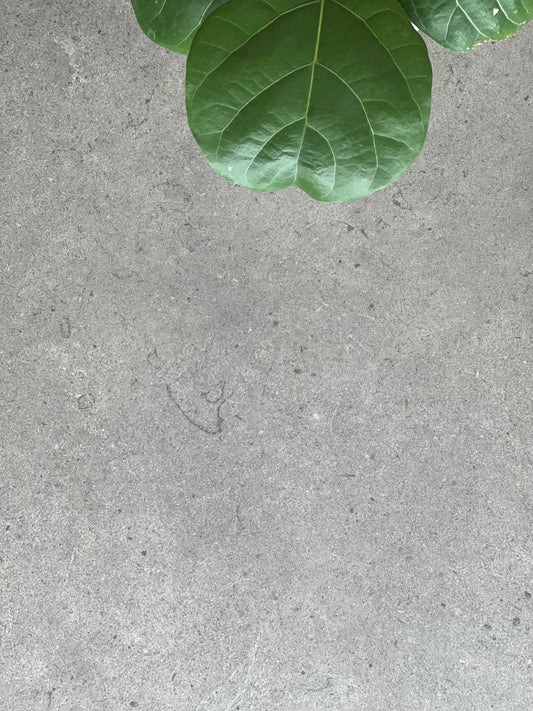 450X900 STAR B45903P MOKA LAPPATO