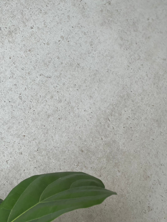 600X1200 D'NEWPORT GREY RECTIFIED