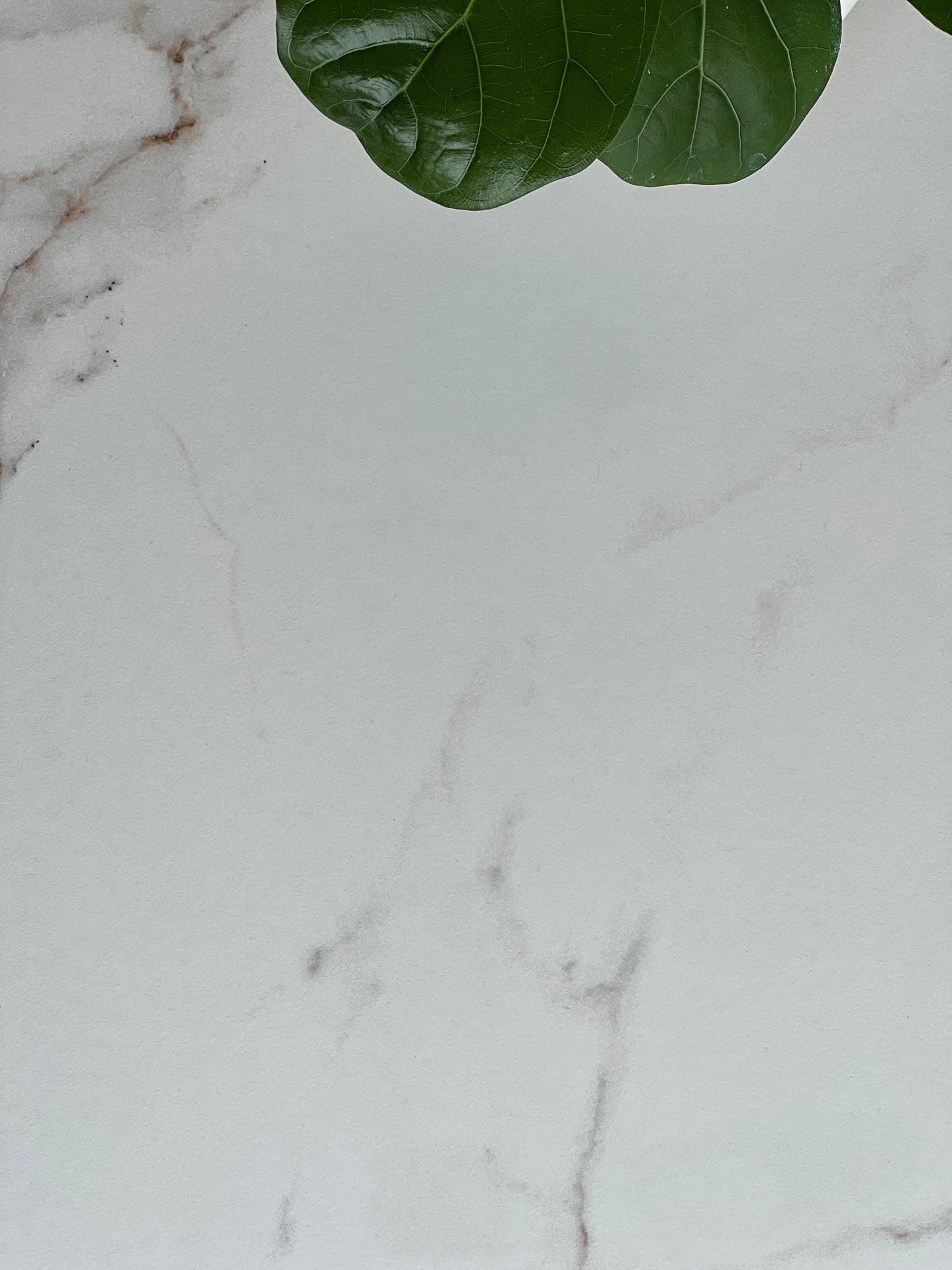 D'Cervinia Bianco Rect 600 x 600