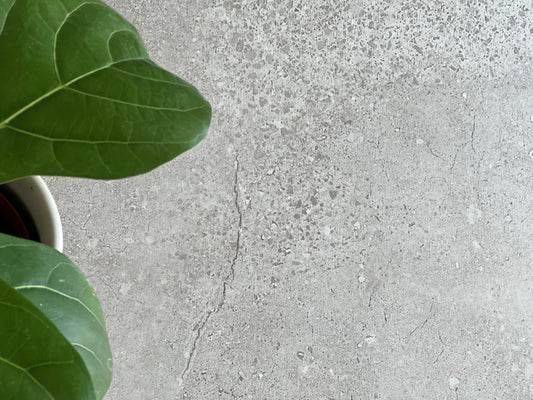 600x1200 D'BETON GRIGIO