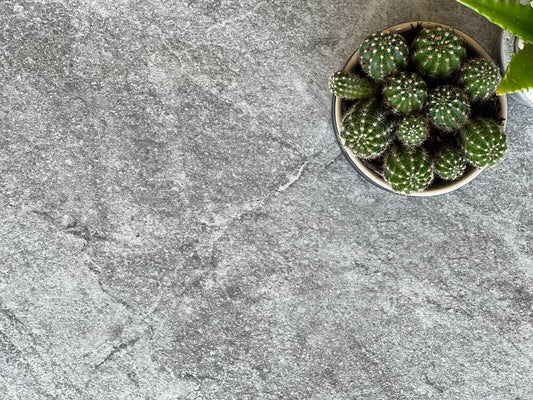 300X600 ALPS DA3673N DK GREY MATT